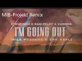 Steve Aoki & Sam Feldt & XANDRA  - I’m Going Out -    MIB Project extended REMIX