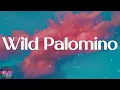 Zac Brown Band - Wild Palomino (Lyrics)