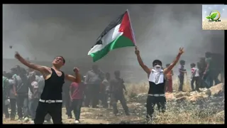 انشودة الضمير العربي كاملة 