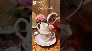 انت روحي وكل عمري ونور حياتي 