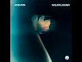 Wildflower - Joshwa