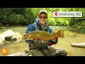 The Best Trout River in North Carolina