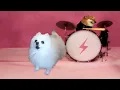 APT. Dog Version