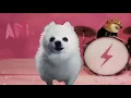Download Lagu APT. Dog Version