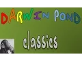 Darwin Pond artificial life evolution simulation