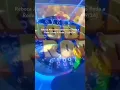 Download Lagu Rebeca Abravanel cantando no Roda a Roda | Roda A Roda (22/09/24)