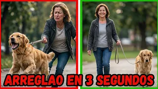 GUÍA DEFINITIVA Control REACTIVIDAD y LADRIDOS