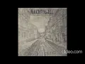 Nachtigall   -  Святослав  (feat  Jan Peter)
