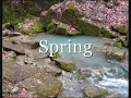 Four Seasons ~ Vivaldi