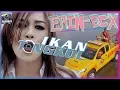 Download Lagu Erin BCX - Ikan Tongkol - Official Music Video