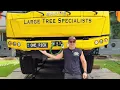 Download Lagu FIVE YEARS to find someone willing to cut down this tree! 