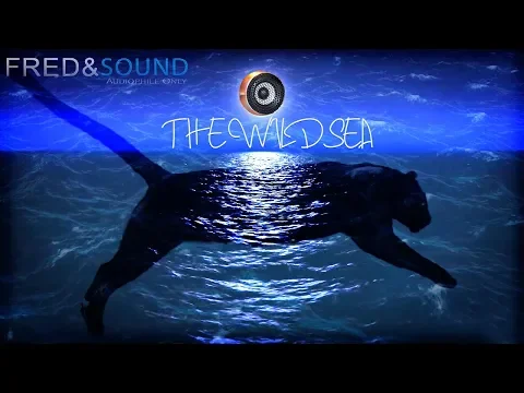 Download MP3 #STEREO THE WILD SEA by Fred & Sound Official Mix (Music/Sound Test)