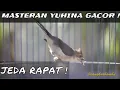 Download Lagu Masteran Burung Yuhina Gacor || Owner @sangkarbambu