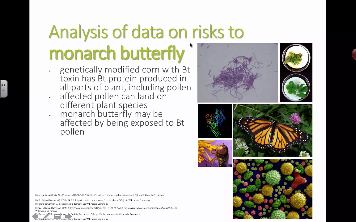 Cover image for Unintended Risks of Genetically Modified Crops