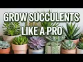 Lagu 15 SUCCULENT Plant Tips For Beginners (Essential Care Secrets You NEED To Know)