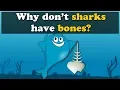 Why don t Sharks have Bones more s