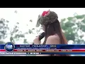 Download Lagu Jihan Audi KELINGAN MANTAN_ by NEW PALAPA.