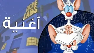 أغنية البداية بينكي وبرين 