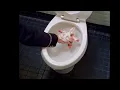 Patrick s special treatment