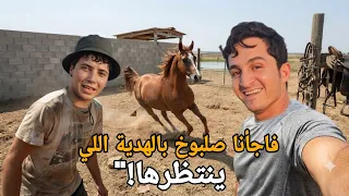 جبناله الهدية اللي ما كان يتوقعها! 🎁 شوفوا ردة فعل صلبوخ الصادمة!"