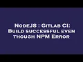 NodeJS Gitlab CI Build successful even though NPM Error