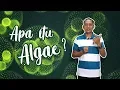 Download Lagu Apa Itu Algae - Is Heriyanto