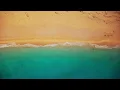 [Playlist] 바다로 휴가를 떠난 사람들을 위해🦉