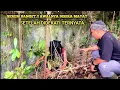 Download Lagu NGERI BANGET.!! AWALNYA DIKIRA MAYAT TERGELETAK DITENGAH HUTAN, TERNYATA.. 