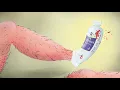 Channel