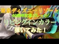 【東京ディズニーリゾート40周年】テーマソングの「リビングインカラー」弾いてみた！