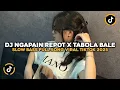 Download Lagu DJ NGAPAIN REPOT X TABOLA BALE SLOW BASS FULL SONG VIRAL TIKTOK 2025