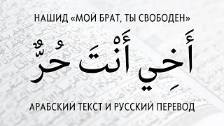 Мой брат ты свободен أخي أنت حر 