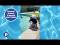 Pinch A Penny Pools Scottsdale Makes Pool Care EASY