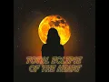 Total Eclipse of the Heart
