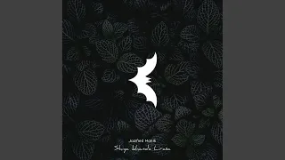 an sestr l original mix 