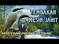 Download Lagu jingjing petulak tembakan mesin jahit
