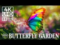 Butterfly Garden 4K Ontspannende insectenfilm met rustgevende muziek • 4K Video UHD #5