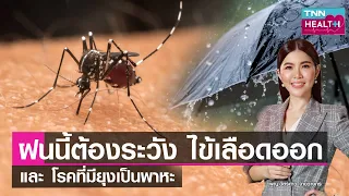 โรคไข้เลือดออกเกิดจากอะไร และมีอาการอย่างไรบ้าง