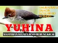 Download Lagu MASTERAN YUHINA GACOR || cocok buat masteran burung kicau