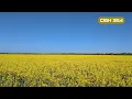 Download Lagu DSH 354 | Atmospheric Deepness \u0026 Melodic Grooves