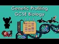 Genetic Profiling - WJEC Biology