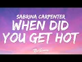 Download Lagu Sabrina Carpenter - When Did You Get Hot? (Lyrics)