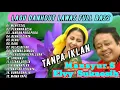 Download Lagu Full Album Lagu Mansur.S Dan Elvy Sukaesih TANPA IKLAN