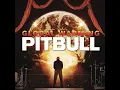 Echa Pa'lla (Manos Pa'rriba) (feat. Papayo) - Pitbull