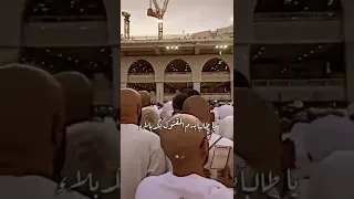 سيأتي يوما نرى مهدينا مستندا الى جدار الكعبة الا يا اهل العالم ستوريات انستا حزينة حالات واتس 