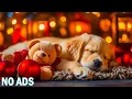 Download Lagu Music for Stressed Dogs🐕Calming Background to Promote Safety \u0026 Serenity💗Peaceful Pet Music