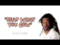 Lucky Dube - REAP WHAT YOU SOW (lyrics)