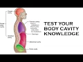 TEST YOUR BODY CAVITY KNOWLEDGE
