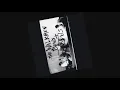The Walkmen - The Rat