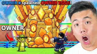 Meet The OWNER Of Roblox Steal An Egg!